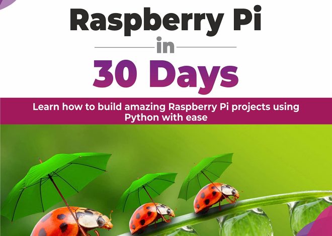 Programming Raspberry Pi in 30 Days